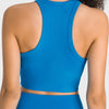 Allison Sports Bra - Blue