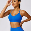 Cecilia Sports Bra - Blue