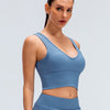 Eloise Sports Bra - Blue