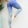 Gianna Seamless Leggings - Blue