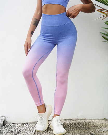 Gianna Seamless Leggings - Blue & Pink