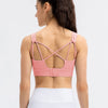 Hadley Sports Bra - Pink