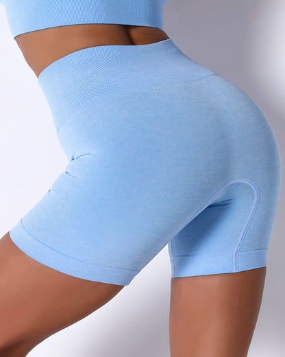 Mikaela Seamless Shorts - Blue