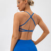 Sophie Sports Bra - Blue