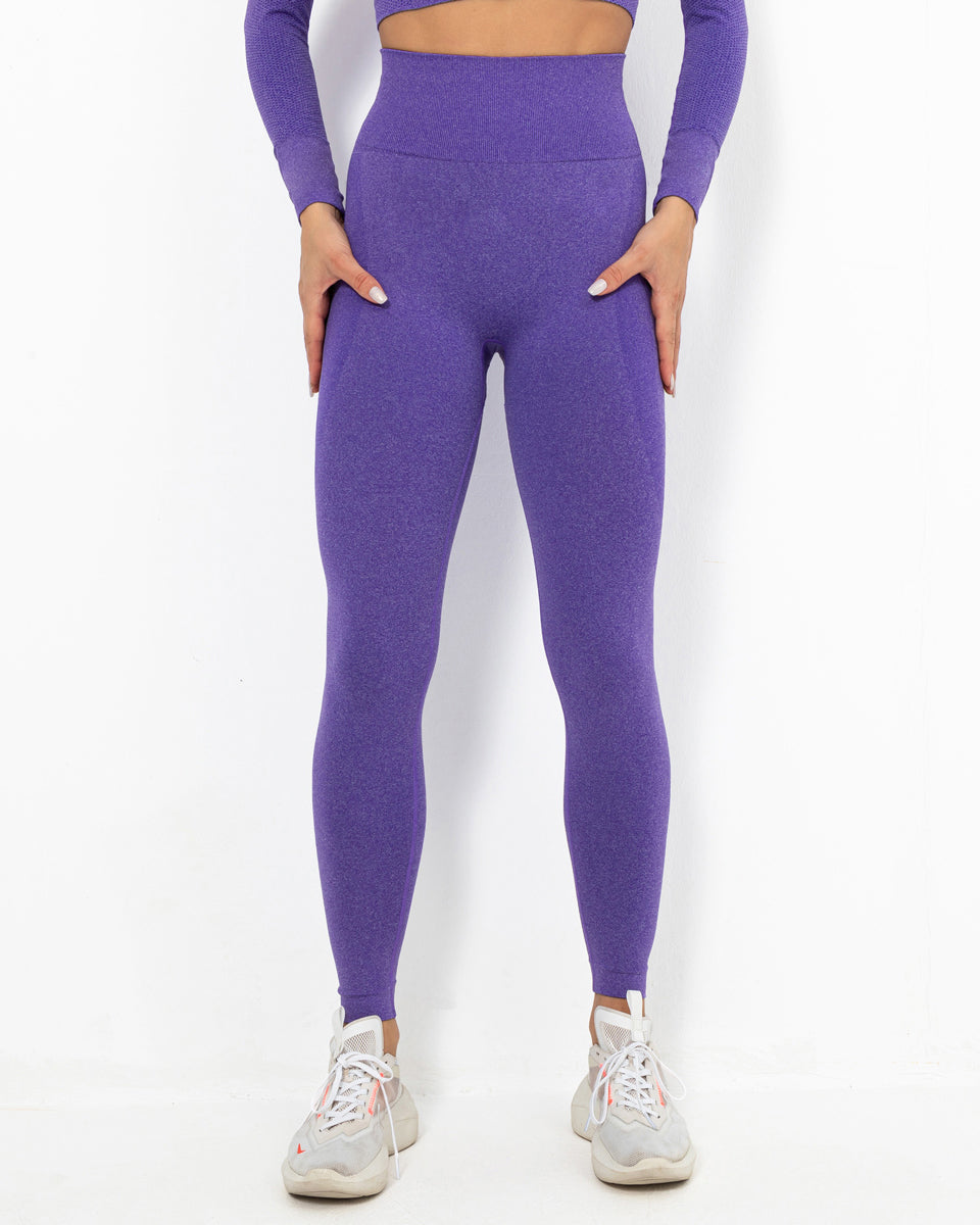 Felicity Seamless Leggings