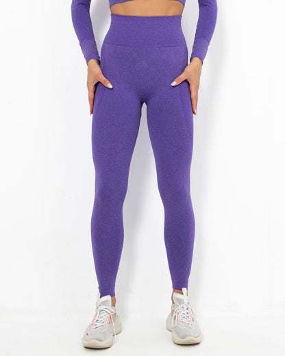 Felicity Seamless Leggings - Purple