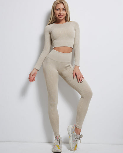 Rozy Ribbed Seamless Leggings